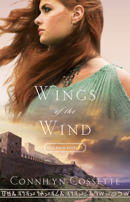 BOOK REVIEW: Wings of the Wind by Connilyn Cossette